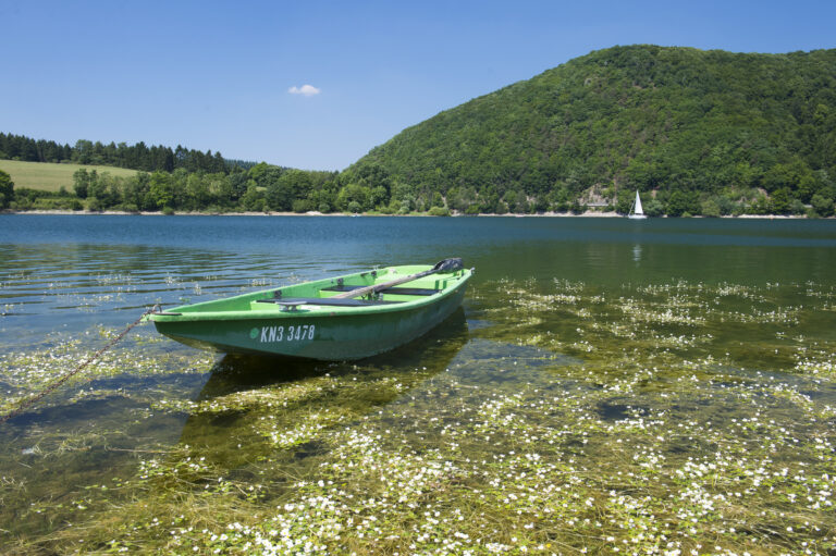 Ein grünes Angelboot liegt ruhig auf dem Wasser des Diemelsees, umgeben von Wasserpflanzen. Im Hintergrund ragen bewaldete Berge auf, und ein weißes Segelboot gleitet gemächlich über den See. Die Szene vermittelt Ruhe und Naturverbundenheit an einem sonnigen Tag mit klarem Himmel.