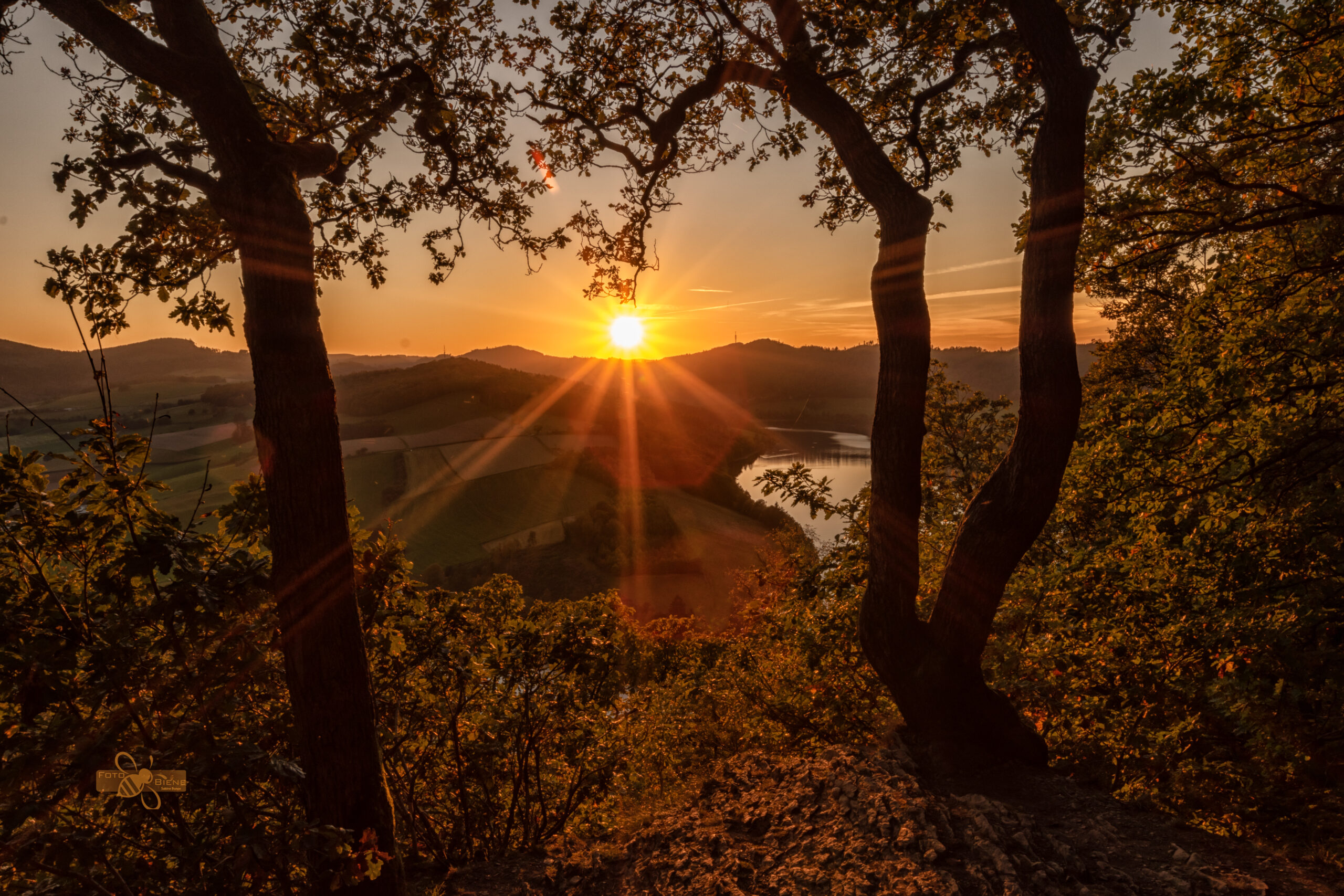 Das Bild zeigt einen stimmungsvollen Herbst-Sonnenuntergang über dem Diemelsee, aufgenommen vom Hausberg der Region. Die Bäume sind in kräftigen Herbstfarben wie Orange, Gelb und Rot gefärbt und rahmen den See ein. Das ruhige Wasser des Diemelsees reflektiert das goldene Licht des abendlichen Himmels. Der Panoramablick vermittelt eine friedliche und warme Atmosphäre, die die Schönheit der Natur im Herbst im Sauerland eindrucksvoll einfängt.