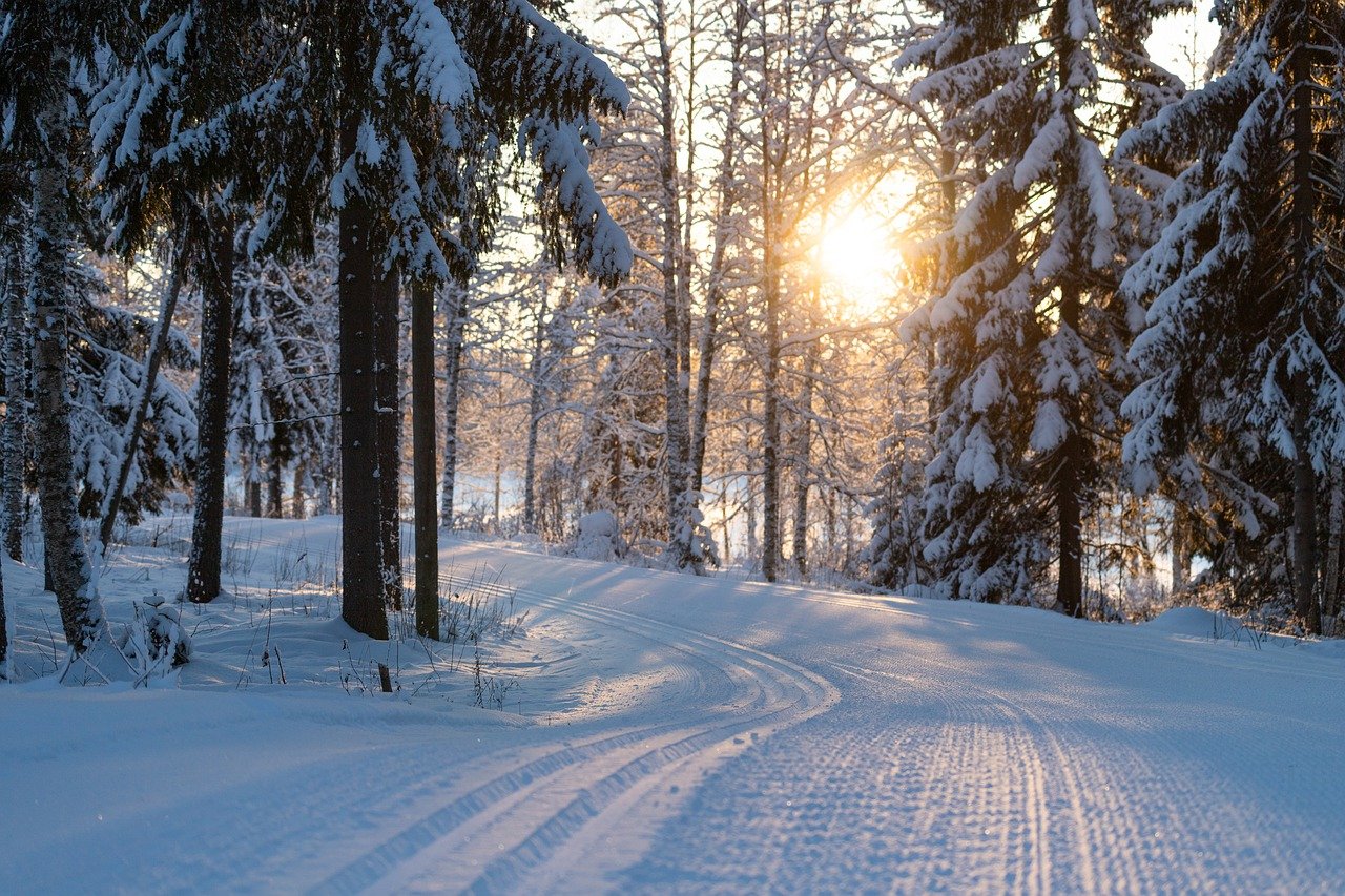 Eine gespurte Langlaufloipe führt durch eine verschneite Winterlandschaft am Diemelsee. Die Sonne steht tief und färbt den Himmel, während sie hinter schneebedeckten Bäumen untergeht. Der Schnee glitzert im Abendlicht, und die Szene strahlt Ruhe und winterliche Schönheit aus.