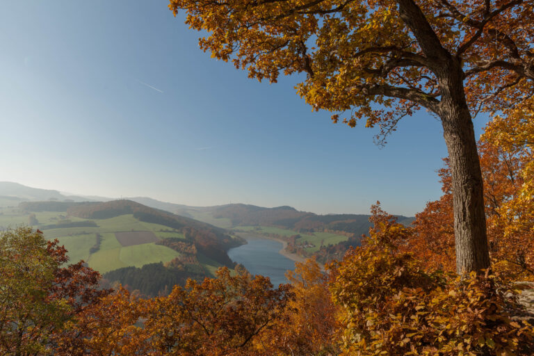 Herbstliche Aussicht auf den Diemelsee von einem Aussichtspunkt aus. Der Himmel ist klar und blau, während das Ufer und die umliegenden Flächen in grünen Tönen erstrahlen. Der herbstliche Wald zeigt orange und gelbe Farben.