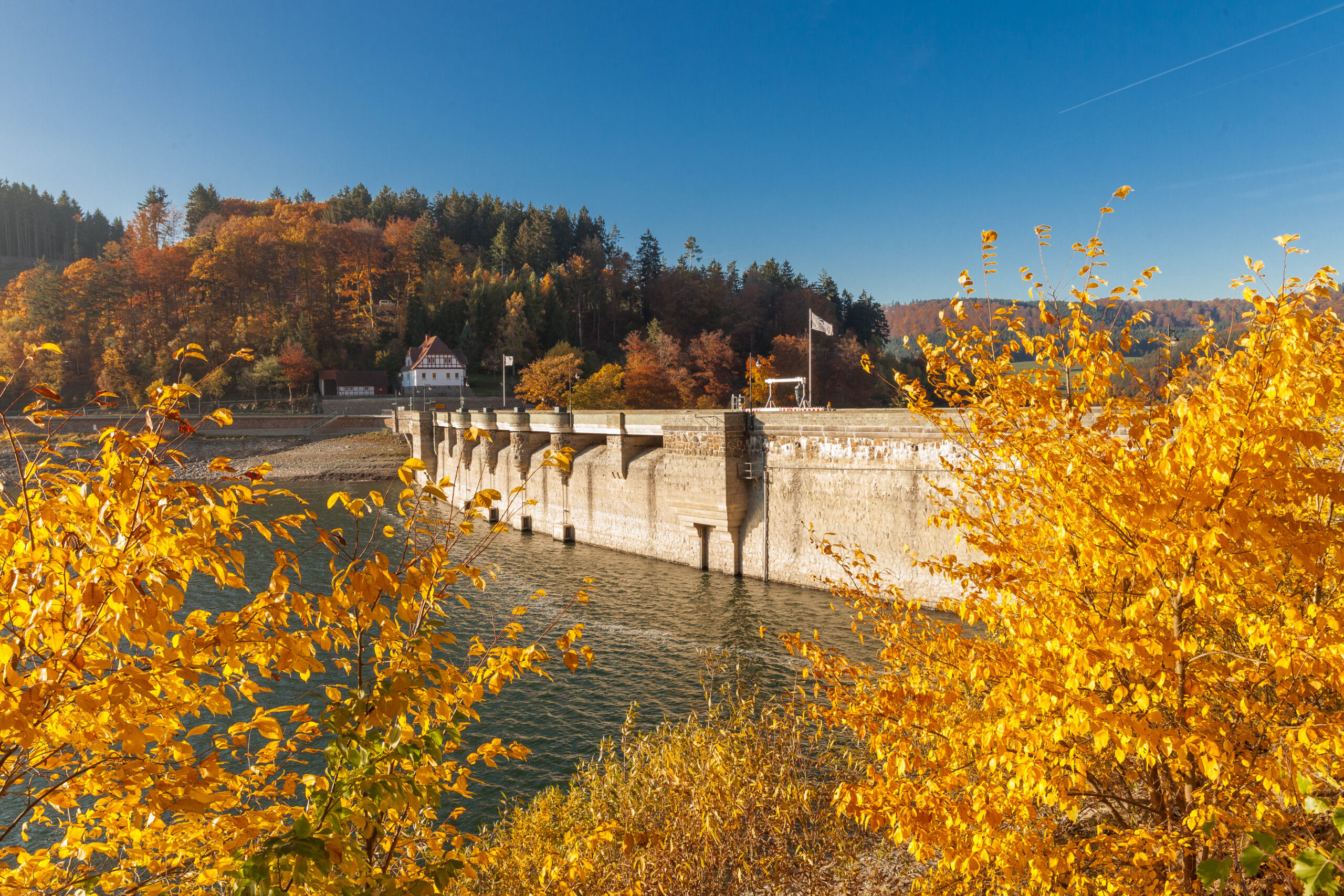Das Bild zeigt eine herbstliche Landschaft am Diemelsee. Der Blick führt durch herbstlich gefärbte Blätter auf die Staumauer. Der See liegt ruhig vor der Mauer, sein Wasser spiegelt das Licht des klaren, blauen Himmels wider. Die umliegende Natur ist in warme Herbstfarben getaucht – Gelb, Orange und Rot dominieren das Bild. Die Szene vermittelt eine friedliche, klare Herbststimmung mit guter Sicht und leuchtenden Farben