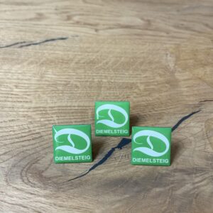 Diemelsteig Pin